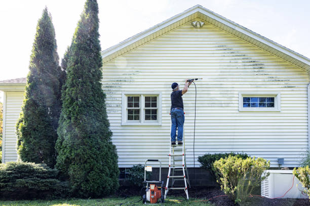 Best House Exterior Washing  in Tyhee, ID